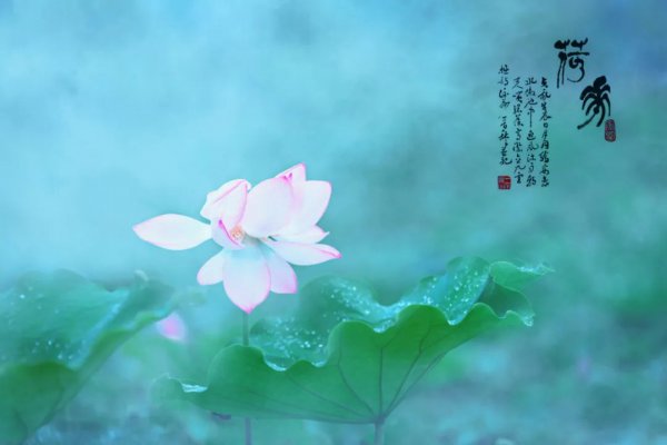 赞美雨后美景的诗句和名言