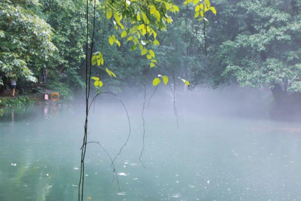 赞美雨后美景的诗句和名言