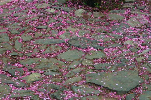 形容赏游西湖时的诗句