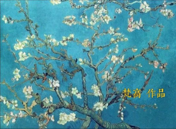 与杏花有关的古诗词