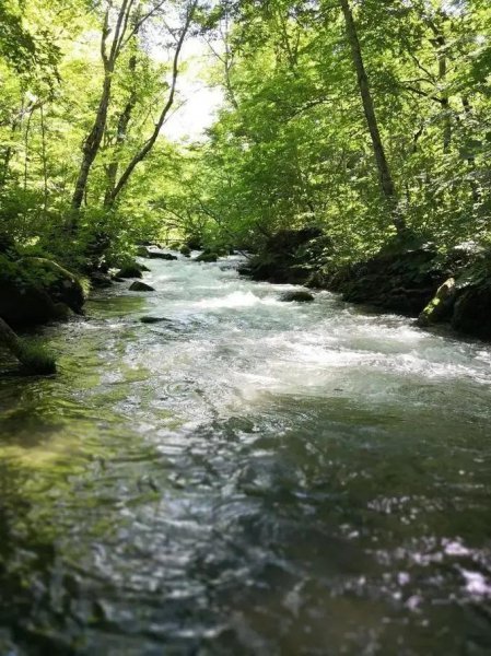 诗中带溪的诗句有哪些