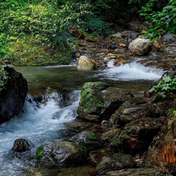 诗中带溪的诗句有哪些