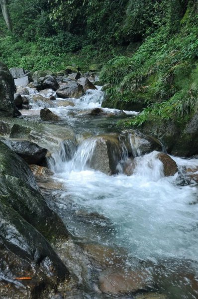 诗中带溪的诗句有哪些