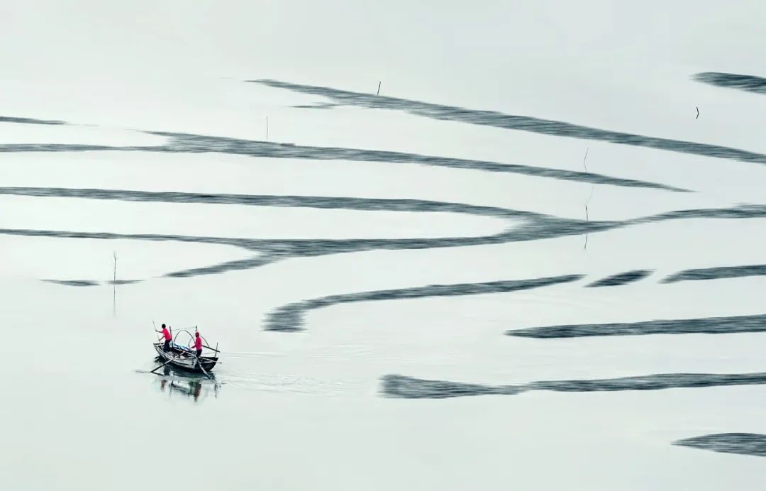 关于死亡的诗句有哪些