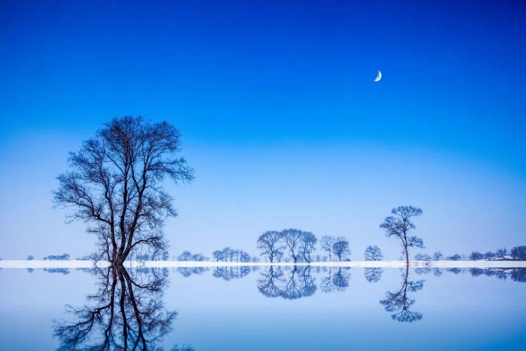 关于死亡的诗句有哪些