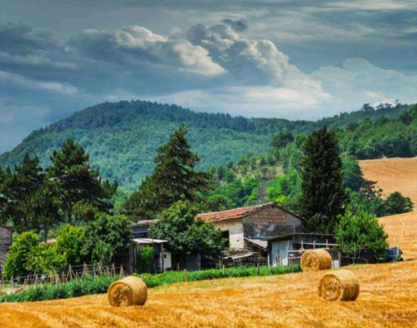 财神生日是农历几月几日