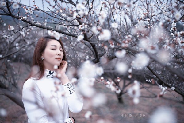 李清照诗词最佳十首及翻译