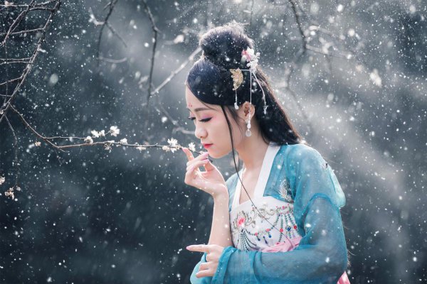 李清照诗词最佳十首及翻译