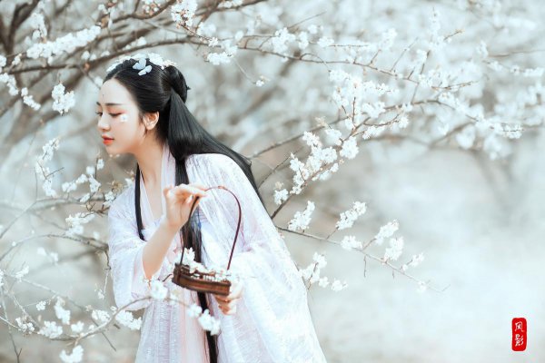 李清照诗词最佳十首及翻译