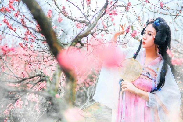 李清照诗词最佳十首及翻译