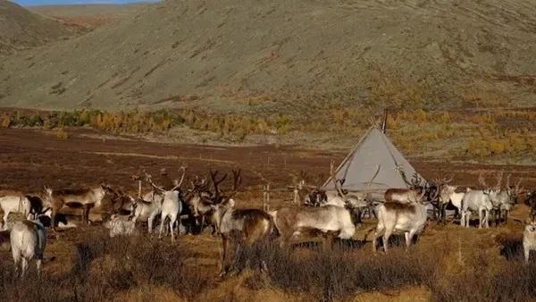 蒙古国土面积多少平方公里