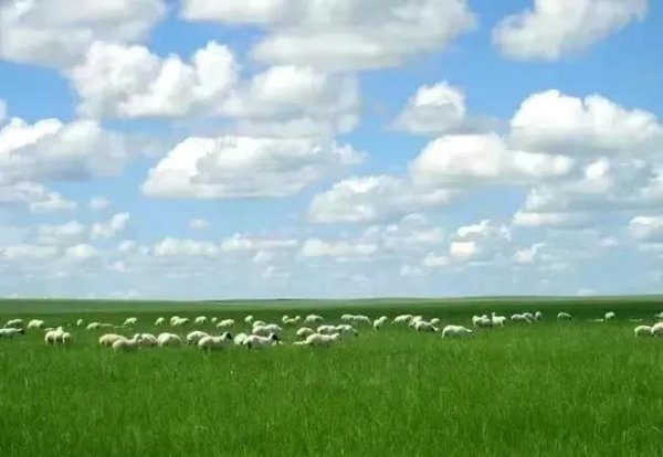 蒙古国土面积多少平方公里