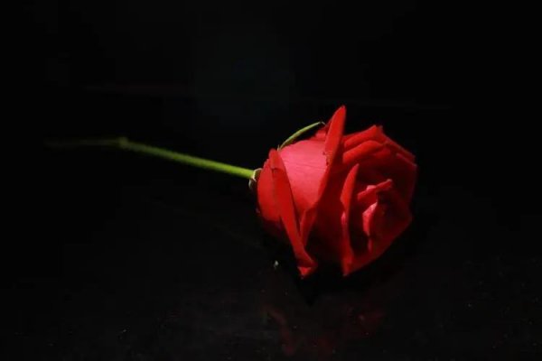 父亲节什么时候过几号几月