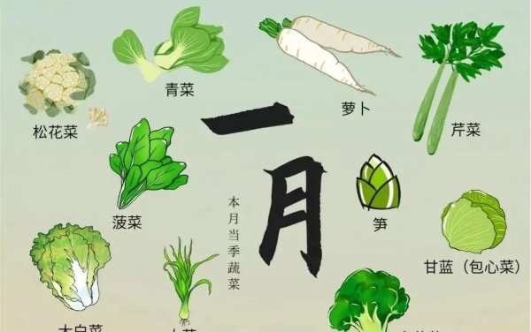 盘点每个季节时令菜有哪些