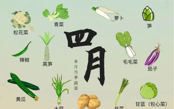 盘点每个季节时令菜有哪些