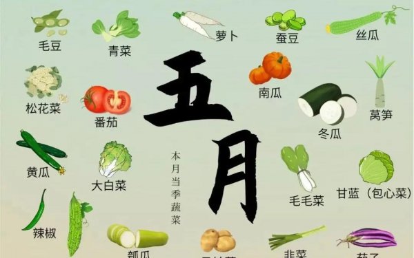 盘点每个季节时令菜有哪些