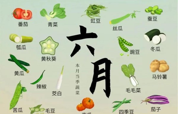 盘点每个季节时令菜有哪些
