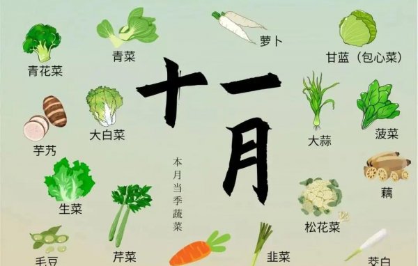 盘点每个季节时令菜有哪些