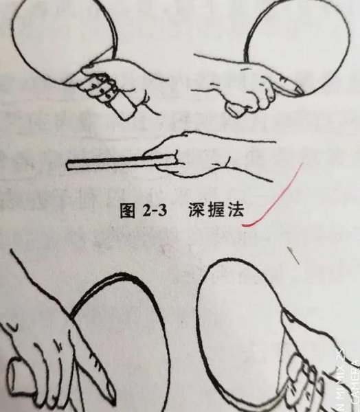 乒乓球握拍姿势介绍图片
