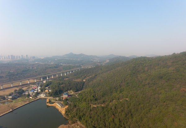 缓释肥和控释肥哪个好一点