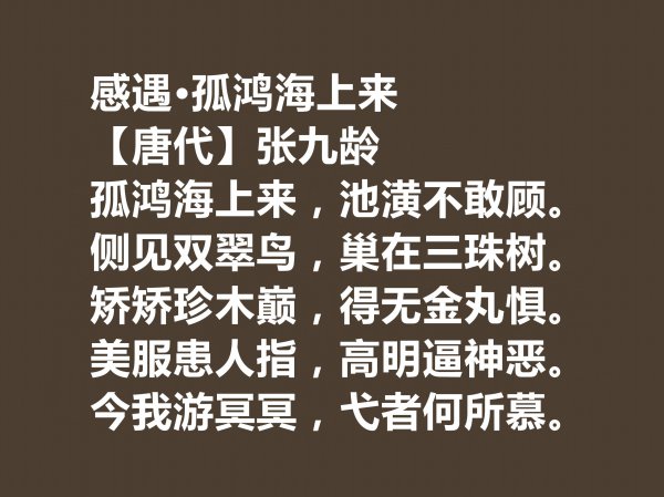 张九龄的十首出名诗赏析