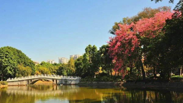 华南师范大学学科评估结果