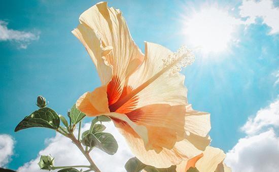 hdr是什么拍照功能开还是不开