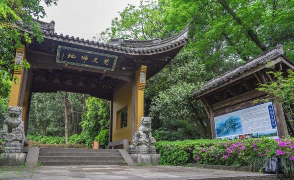 王安石登飞来峰的情感