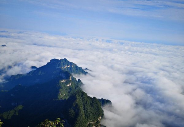 王安石登飞来峰的情感