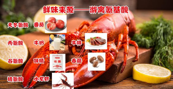 龙虾是什么动物类型
