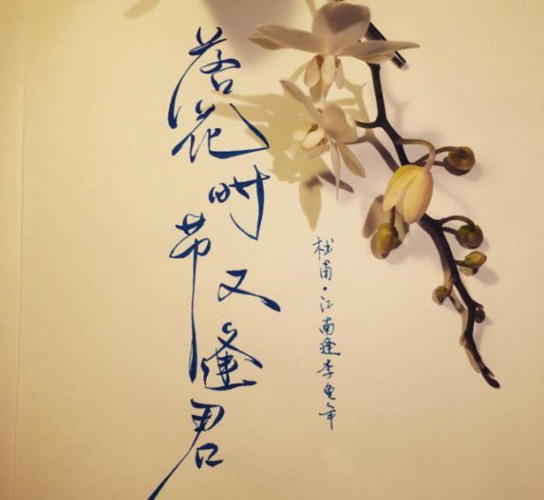杜甫被誉为什么称号