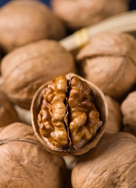 中国十大名核桃排名