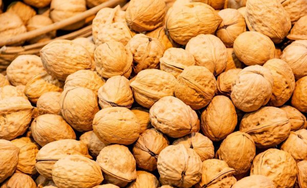 中国十大名核桃排名