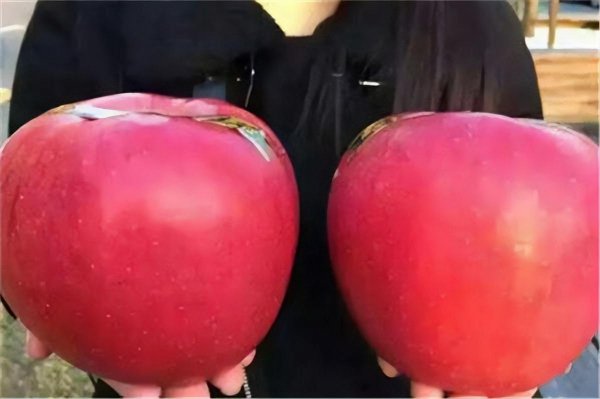ƻͼƬ