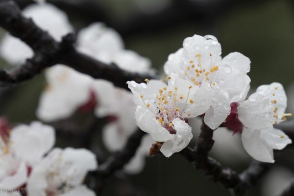 惊蛰注意些什么事项