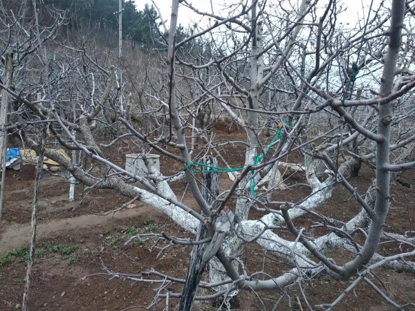 惊蛰注意些什么事项