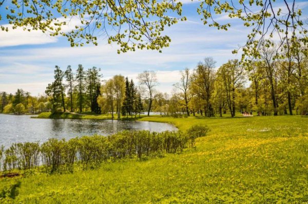 关于踏春的古诗词有哪些