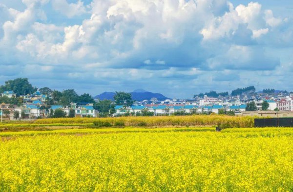 关于踏春的古诗词有哪些