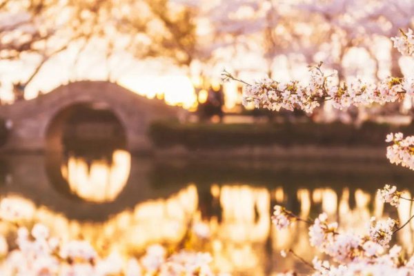 关于踏春的古诗词有哪些