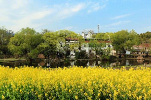 关于踏春的古诗词有哪些