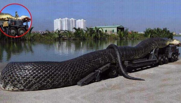 史前灭绝的五大巨兽