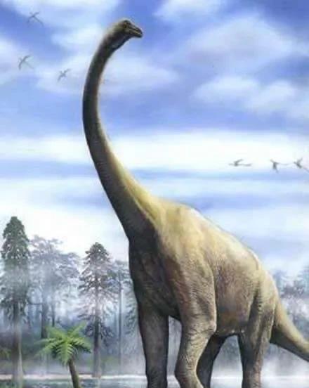 史前灭绝的五大巨兽