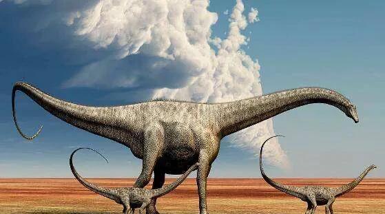 史前灭绝的五大巨兽