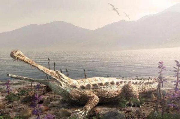 史前灭绝的五大巨兽