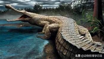 史前灭绝的五大巨兽