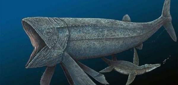 史前灭绝的五大巨兽