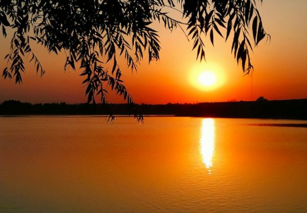 贾岛的代表作10首古诗