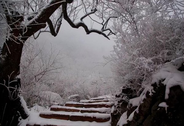 贾岛的代表作10首古诗