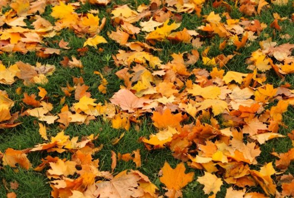 贾岛的代表作10首古诗