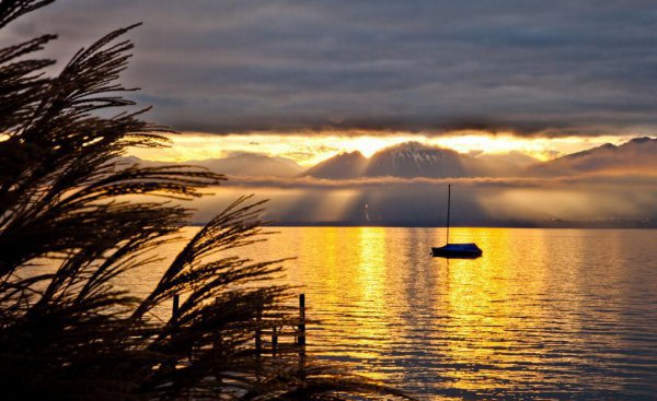 贾岛最著名的一首诗